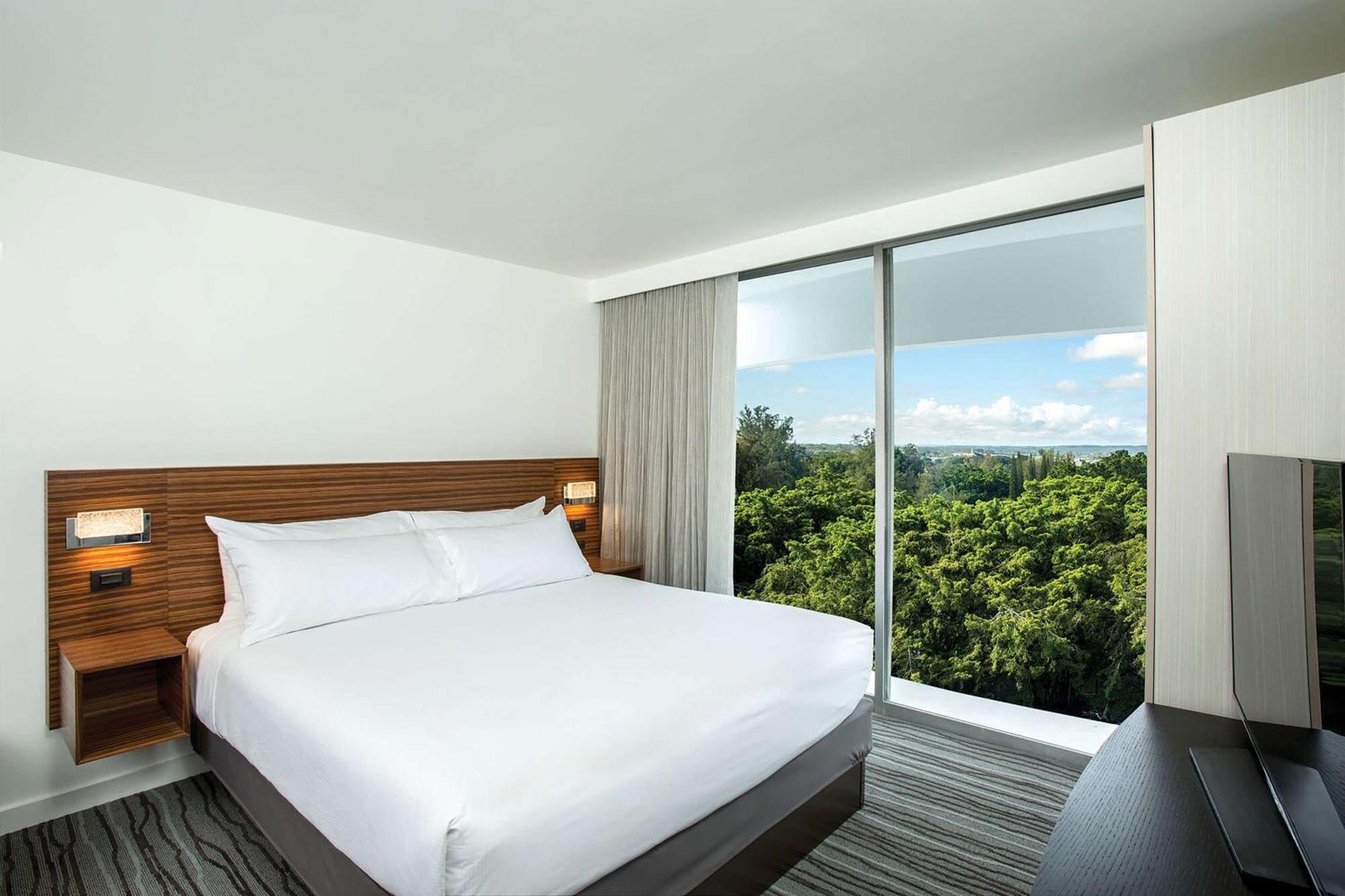 One-Bedroom King Suite